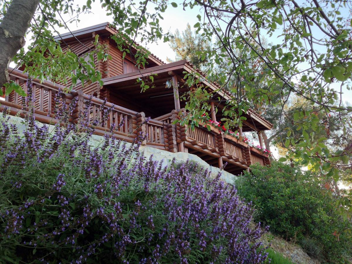 Anti Onirou Villa Flasou Exterior photo