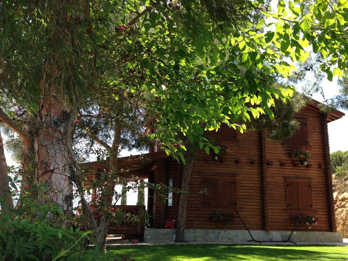 Anti Onirou Villa Flasou Exterior photo